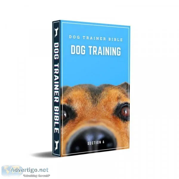 Fast and Effective Dog Trainer Bible