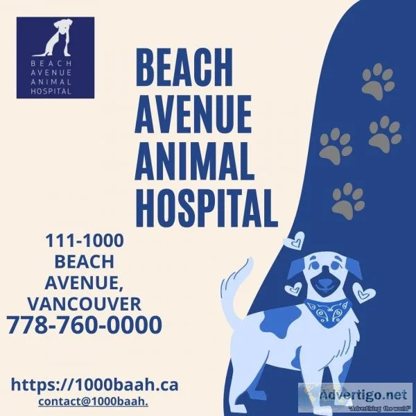 Full-service Veterinary Care in Vancouver