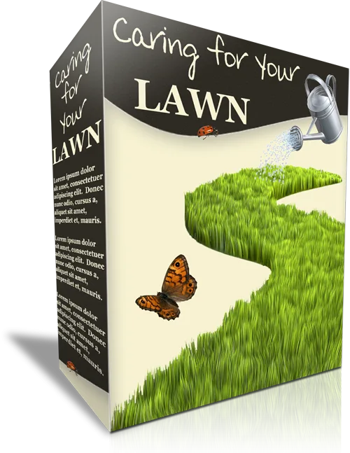 The Secret Of A Great Lawn Without Needing A Professional