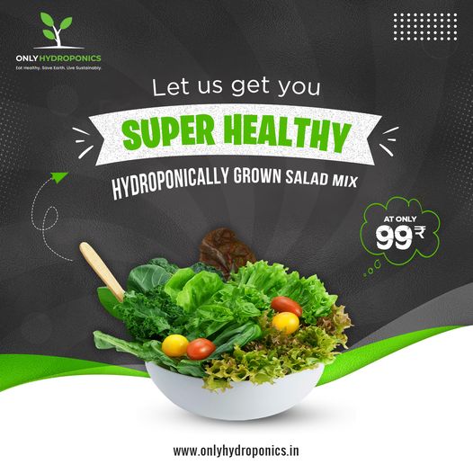 Delicious and healthy green salad mix | onlyhydroponics