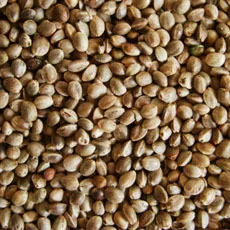 Buy Whole Hemp Seed online