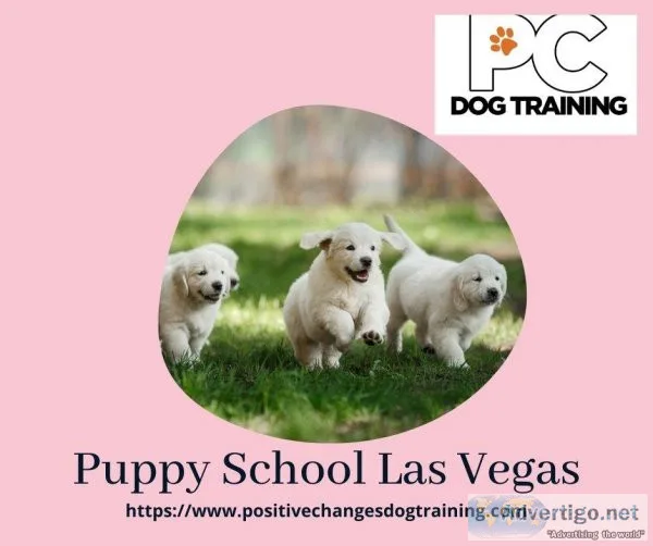 Puppy Training Henderson