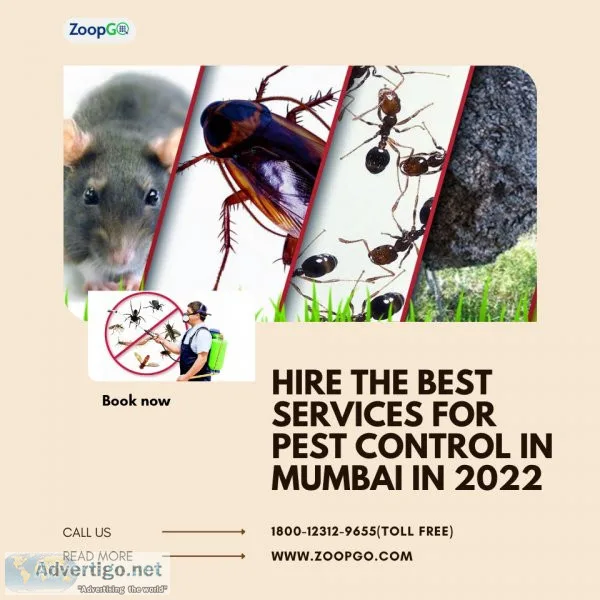Hire the best services for pest control in mumbai in 2022