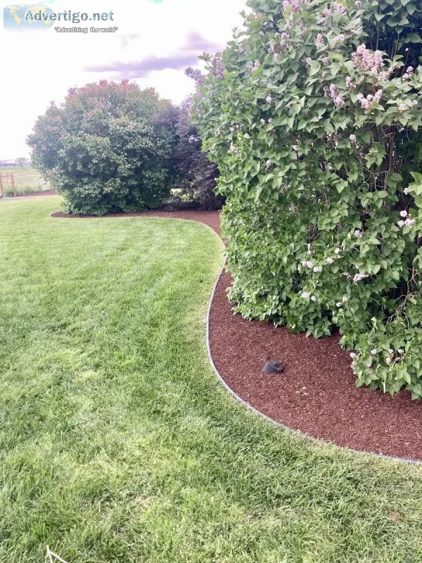 Landscape and Shrub service