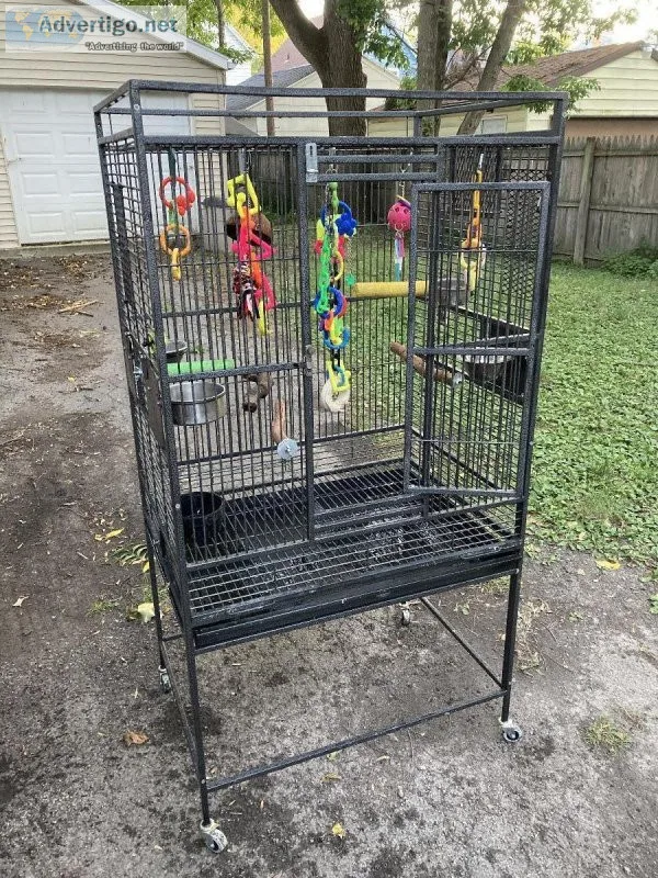 King size parrot cage
