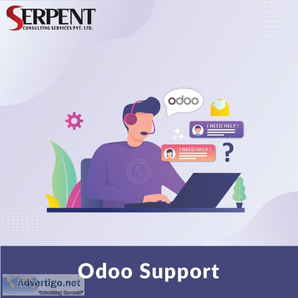 Odoo functional support service provider company odoo support