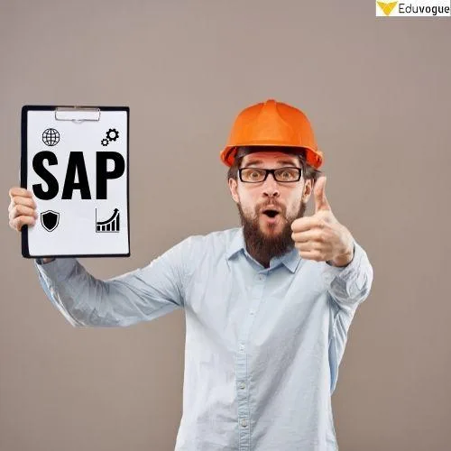 SAP FICO Consultant SAP FICO Consultant