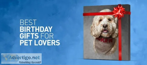Get Best Gift For Your Beautiful Pets..