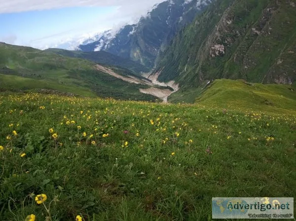 Valley of flowers trek, uttarakhand