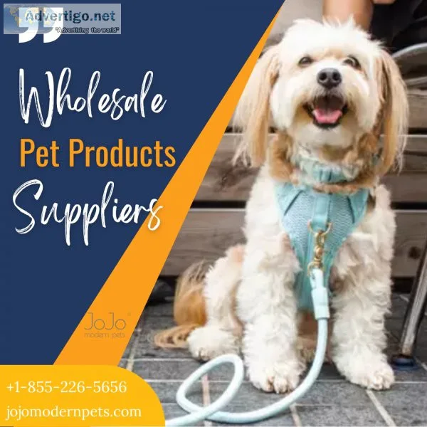 Fulfil Pet&rsquos Welfare Needs - Get Accessories Wholesale
