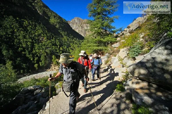 Gaumukh tapovan trek - garhwal himalayas, uttarakhand