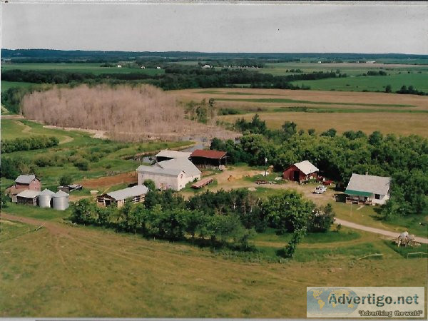 Farm For Sale