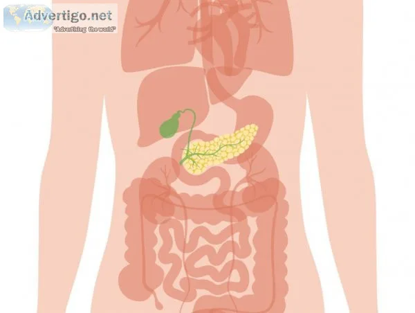 Pancreas transplant in pune | pancreas specialist doctor in pune