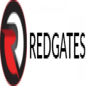 Custom web application development