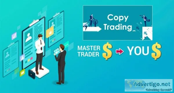 Auto-Copy Pro Traders - Best Online Trading Experience