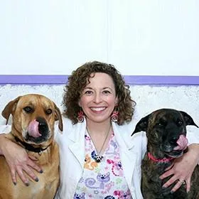 Veterinary Pet Care in Richboro and Bucks County PA