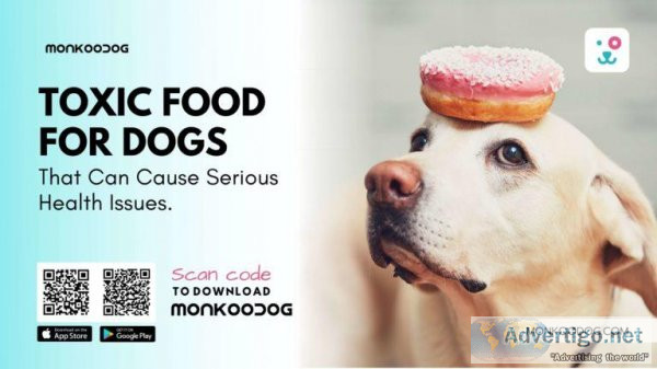Toxic Food For Dogs- That Can Cause Serious Health Issues.