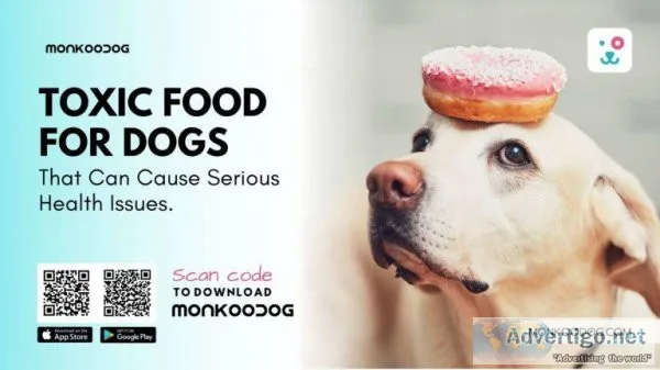 Toxic Food For Dogs- That Can Cause Serious Health Issues.