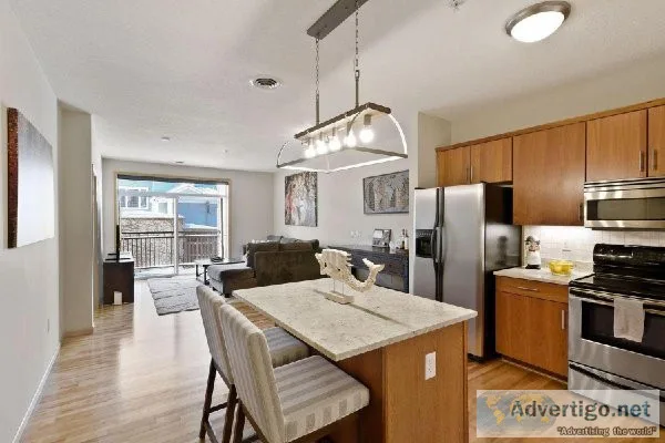 Well Furnished apartment for rent