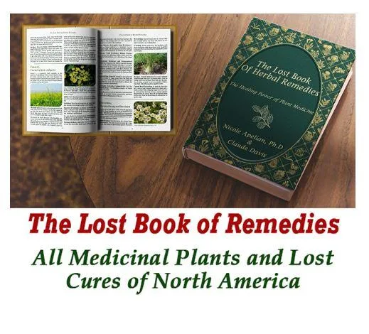 The Lost Book of Herbal Remedies
