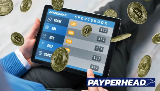 Payperhead sportsbook: buy betting software online
