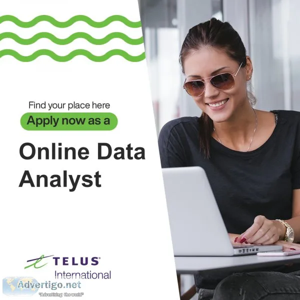 Online Data Analyst
