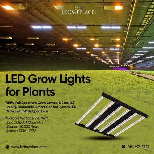 Order LED Grow Lights for Plants the Most Versatile Lighting Fix