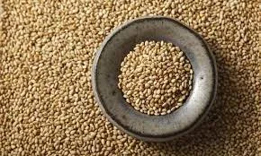 Roasted sesame seeds