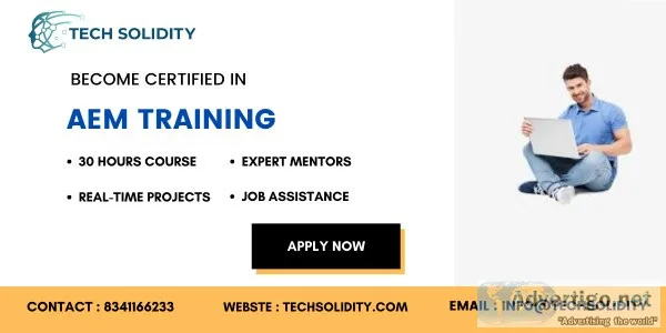 The best aem training in techsolidity