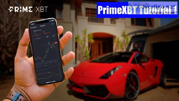 Auto-Copy Pro Traders - Best Online Trading Experience
