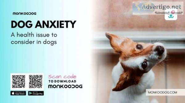 Dog Anxiety &ndash A Health Issue To Consider.