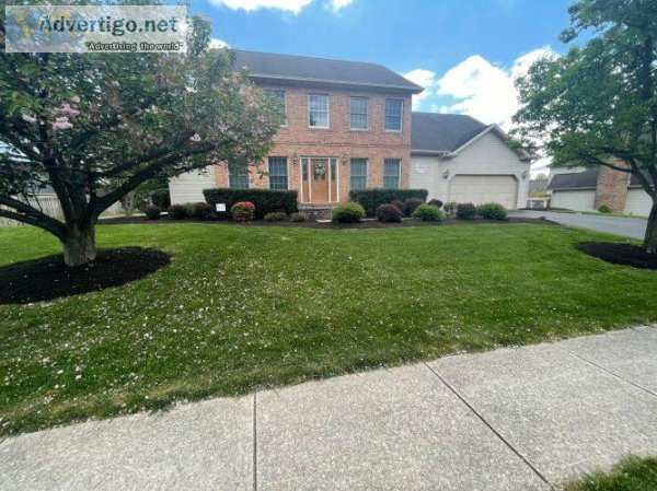 Affordable Local Full Service Lawn and Yard Services