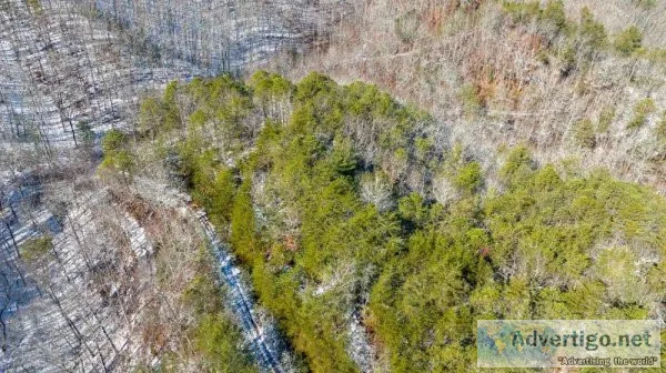 Hidden Valley Views with Power