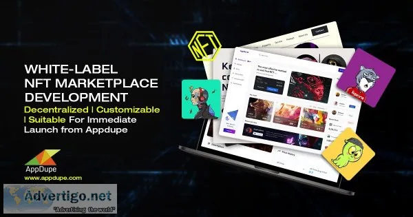 Get multi-chain nft marketplace development services