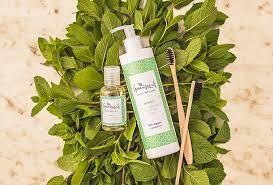 Buy Organic Castile Soap From Greenscents