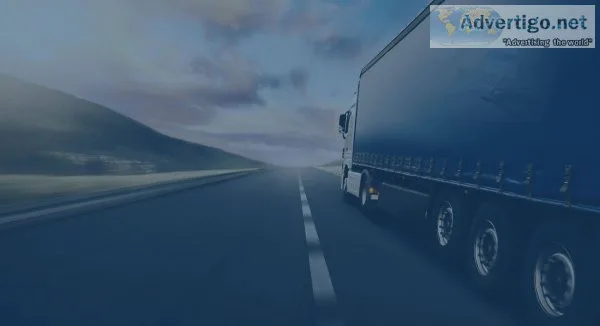 Fleet management software | real time vehicle tracking