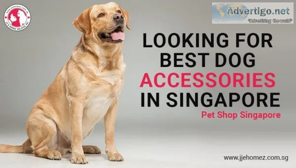 Natural Supplements For Pets Singapore