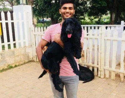 Best affordable dog boarding in India - Snouters