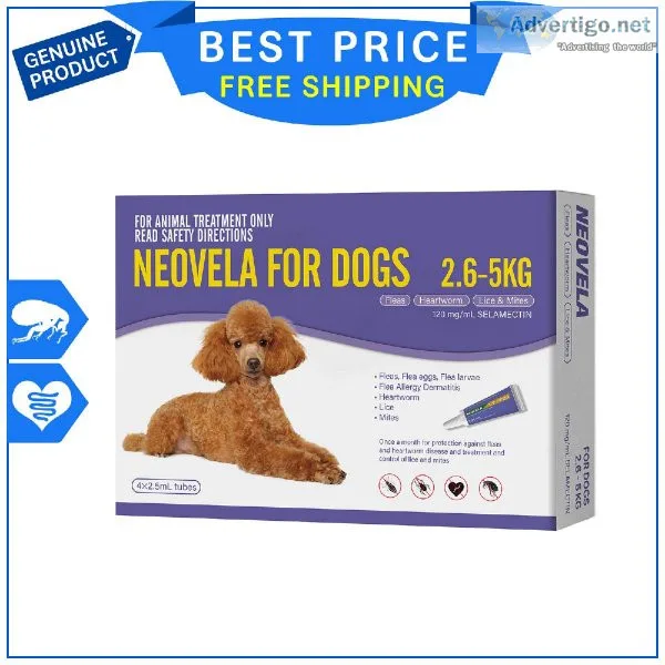 Neovela PURPLE for Dogs 2.6 to 5 Kg 4 Pipettes Flea Heartworm Pr