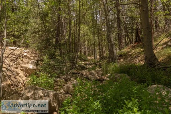 Mountain Acreage in Lake Arrowhead