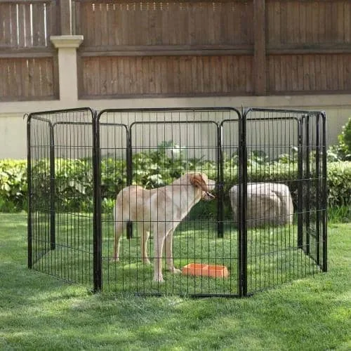 Buy dog crate in nz