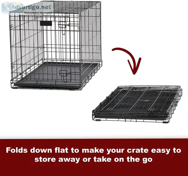 Buy dog crate in nz