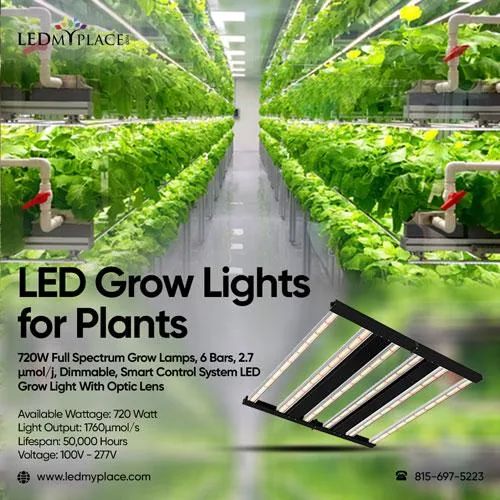 Order Now LED Grow Lights for Plants for Indoor Planting
