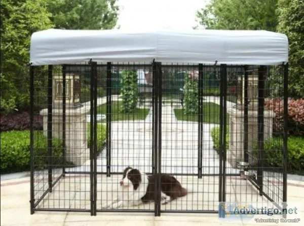 Buy dog crate in nz