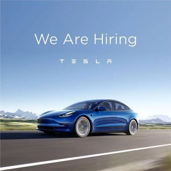 Tesla Virtual Customer Care Service (LIMITED TIME)