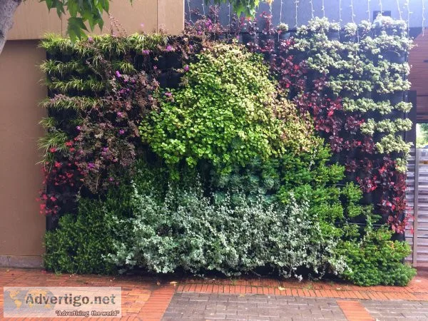 Get top-quality artificial vertical garden online