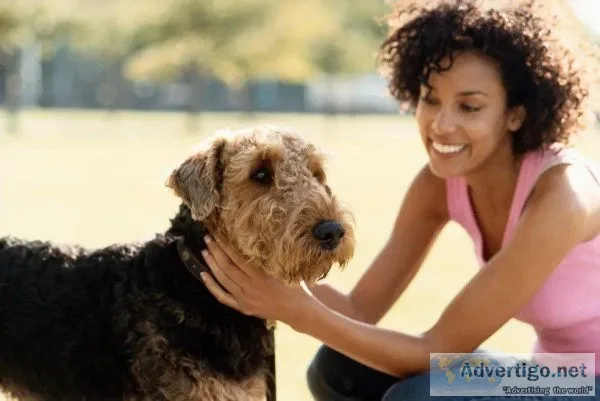 Affordable Pet Transportation Services in Arkansas USA