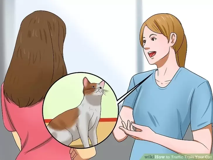 Training Your Cat - No.1 Cat Training And Caring E-Book