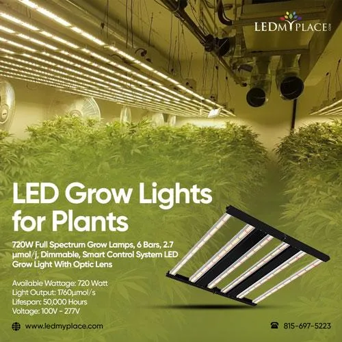 Grab the Deal LED Grow Lights for Plants at Attractive Prices