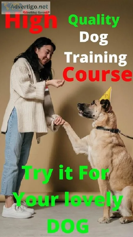 High quality dogs training course
